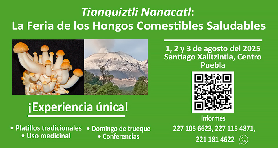HONGOS MEDICINALES Y TU SALUD
