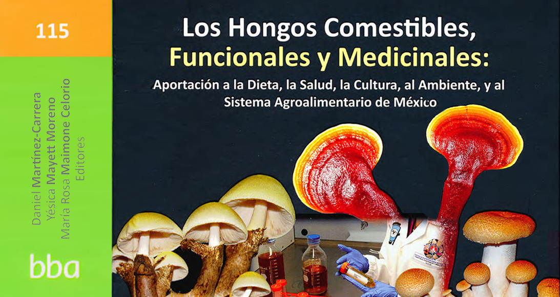 HONGOS MEDICINALES Y TU SALUD