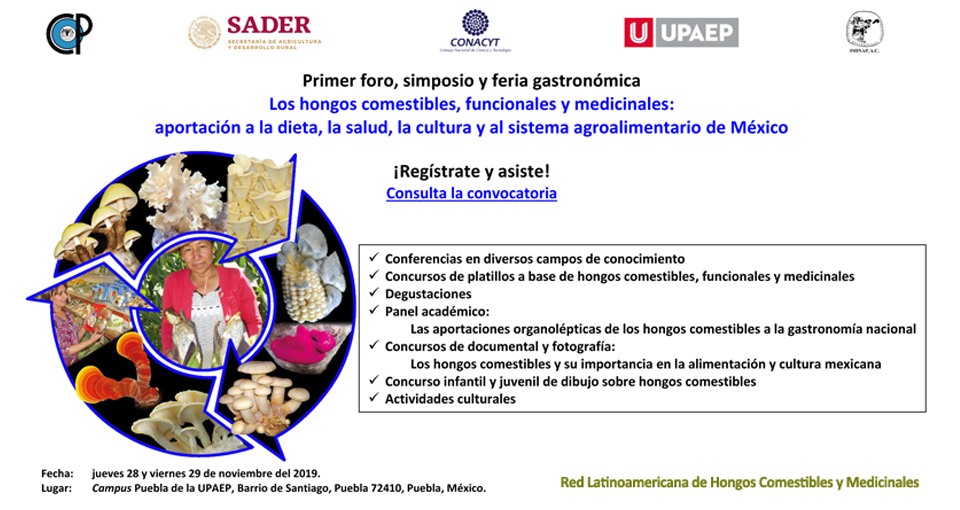 HONGOS MEDICINALES Y TU SALUD